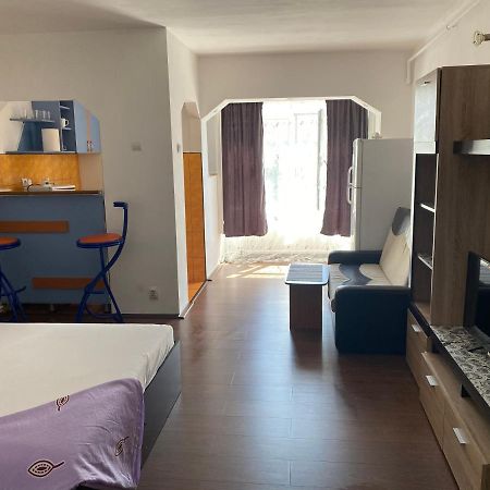 Garsoniera One Bedroom Apartment Хунедоара Экстерьер фото