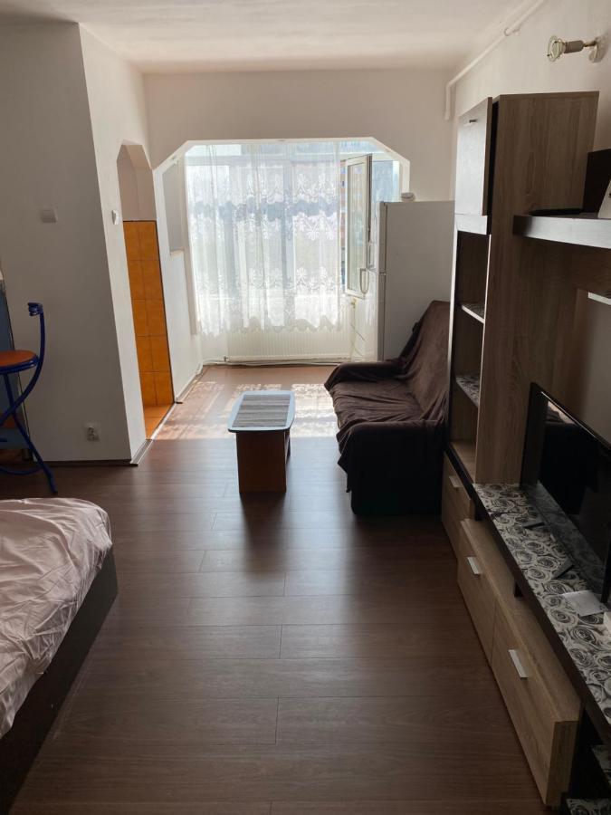 Garsoniera One Bedroom Apartment Хунедоара Экстерьер фото