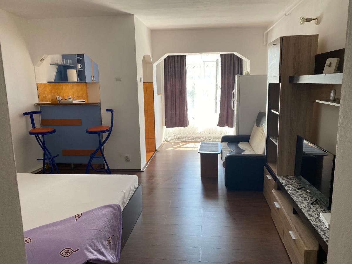 Garsoniera One Bedroom Apartment Хунедоара Экстерьер фото